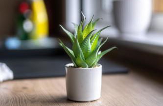 Bank House - Foto 38