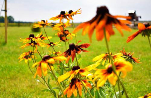 Leśny Zakątek Uroczysko -Apartamenty Nowoczesnej Stodoły - Foto 48