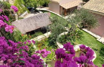 Filoxenia Olive Garden luxury villas and suites - Foto 72