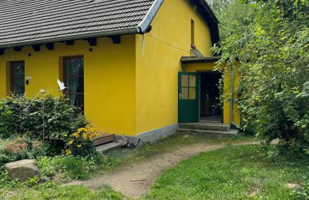 Ferienwohnung - Der Schwarzstorch - Photo 17