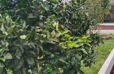 Los Huertos Conect with the nature & relax - Foto 55