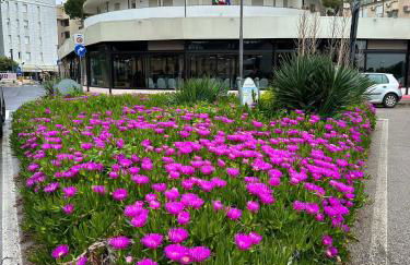 Il nido di Elisa - Foto 11