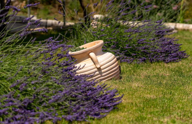 Holiday Home Ivana - Foto 35