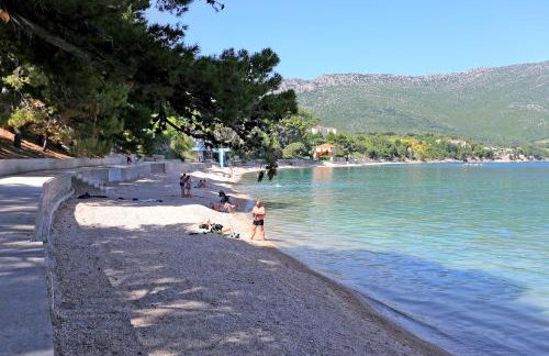 Apartments with WiFi Postup, Peljesac - 23780 - Photo 14
