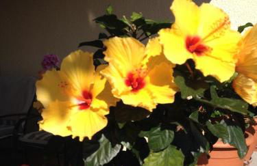 La Casona de Benito - Foto 77