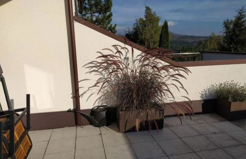 Apratmán Julie – Bavorská Ruda - Foto 31