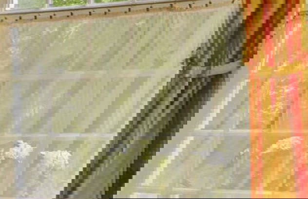 Orangery Berum Modern Retreat - Foto 25