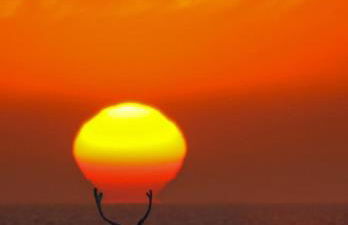 Apartamento Ana Maria - Foto 55