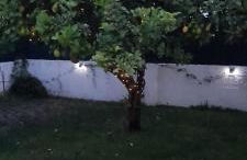 Poolemonhouse - Foto 23