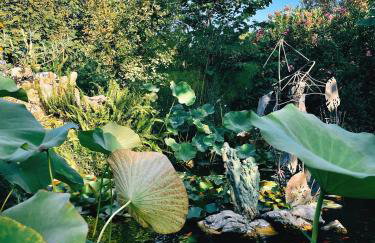 The Artist's Farm - Foto 72