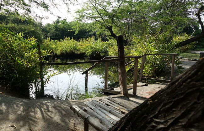 Excursión a las termas El Volcán - Foto 3