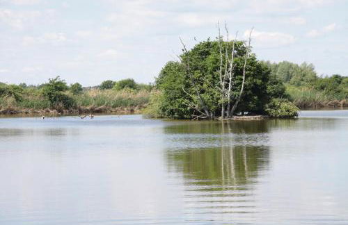 Apartment Meine - Foto 12