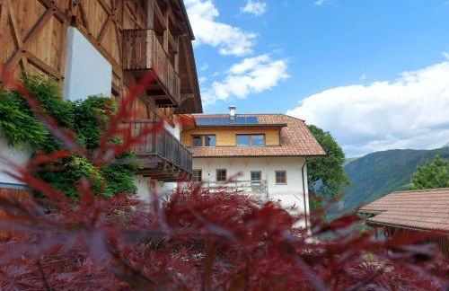 Pignathof Castanea - Foto 10