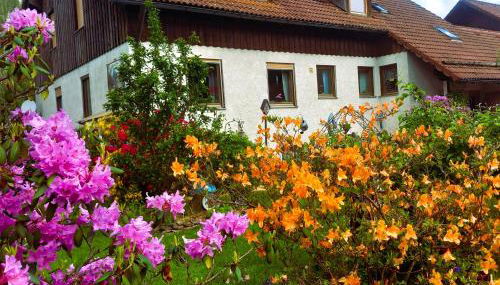 Haus an der Ascha - Foto 3, Garden view