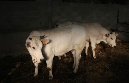 Agriturismo Valdifiori - Foto 32