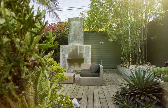 Cactus Flower - Foto 23