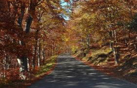 Casa Rubino - Bajardo - Foto 23