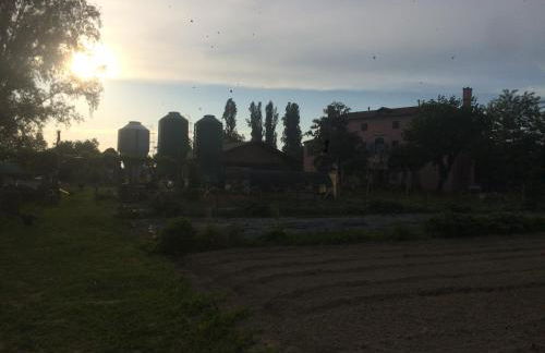 Pecore Ribelli - Photo 33