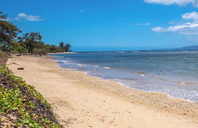 Sunny and Soothing Oceanfront Vistas - Foto 38