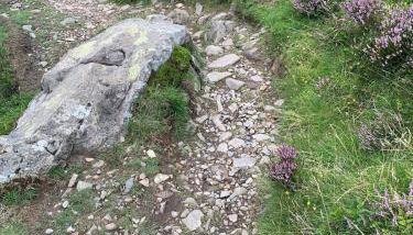 Rose Cottage - Foto 5