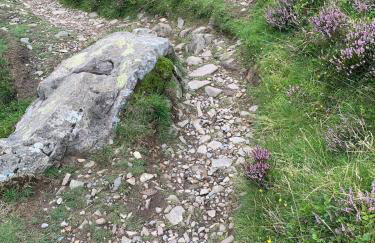 Rose Cottage - Foto 5