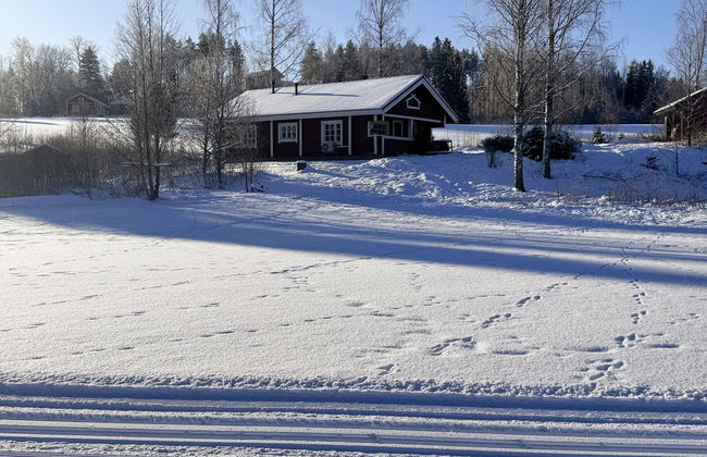 Peltosirkku - Photo 27