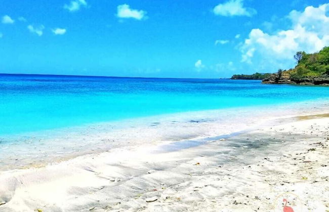 ClarenceVille Villa Apartments - Foto 31