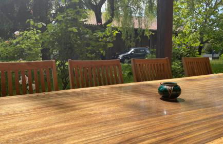 Villa au milieu des pins / bord du lac - Foto 20