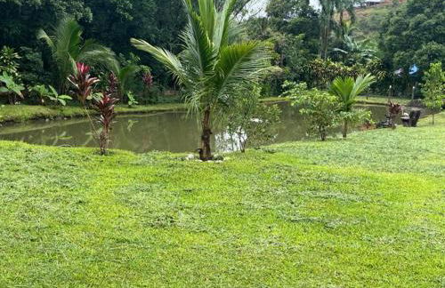 Chácara Belas Águas - Foto 17