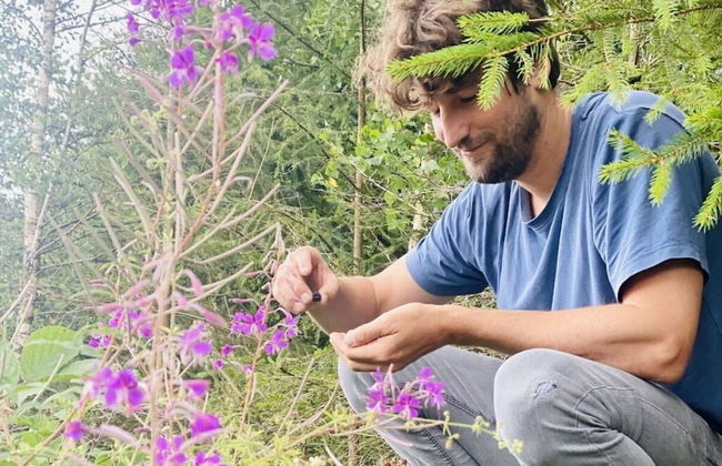 Panoramic View of Lake Harz - Photo 15