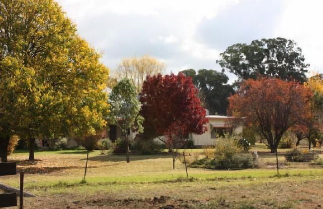 Old Bara Guesthouse - Photo 14