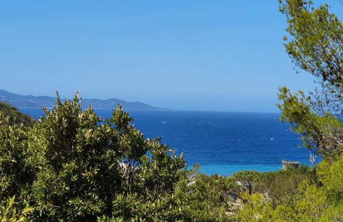 Les Gîtes du Cap Corse - Foto 1