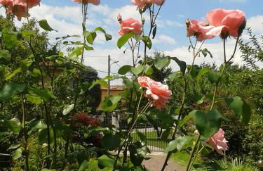 Talonno il frutteto - Foto 31