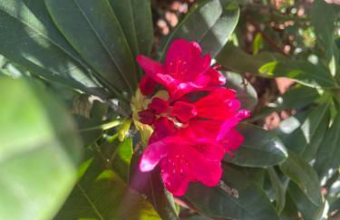 Dreckerhook, oasis to slow down! - Foto 35