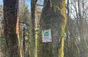 Kleine Auszeit Ferienwohnung nahe Bosenbergklinik mit Parkplatz, Haustiere willkommen - Foto 42