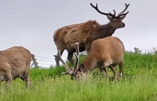 Wavecrest - Photo 25