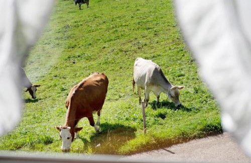 Willmannshof - Photo 44