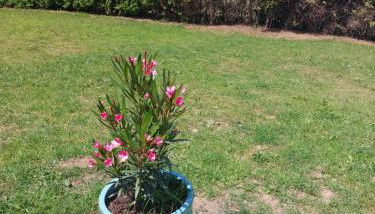 Haus Eufalia - Photo 5