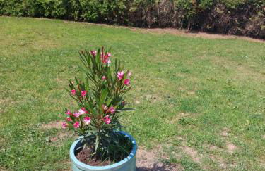 Haus Eufalia - Photo 5