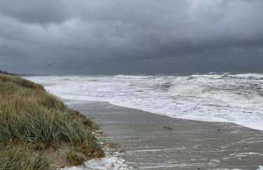 Meyers Veranda - Foto 24