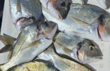 Apartment Marta - free parking! - Photo 35