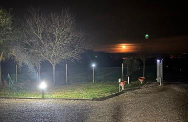 Alloggio Turistico Trasimeno II Castiglione Del Lago - Photo 19