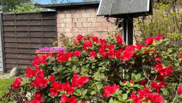 Ferienwohnung Mitten im Pott - Photo 2, Garden view
