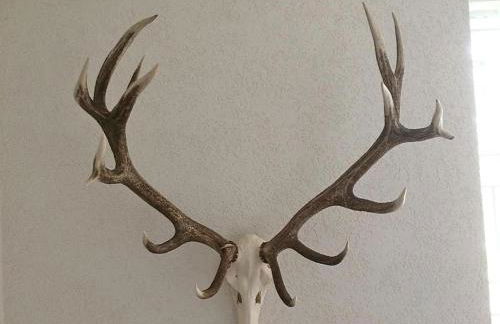 Ferienhaus-stadtkyll-eifel Beim Förster mit zwei Schlafzimmern - Foto 22