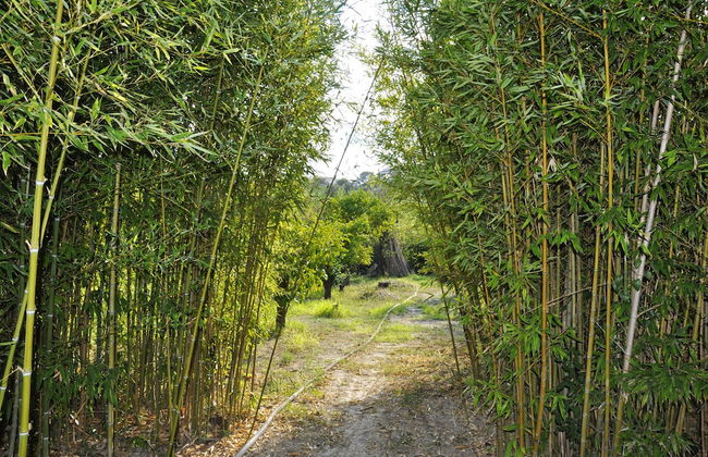 Villa Rentals Sicily - Foto 28