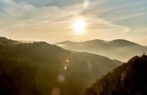 Terrace Retreat in Winterberg - Foto 42