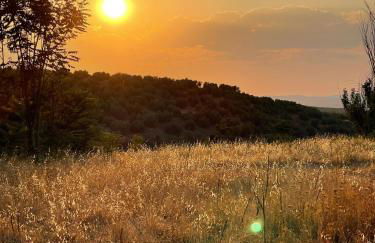 Casa Rural La Moraleja - Foto 21