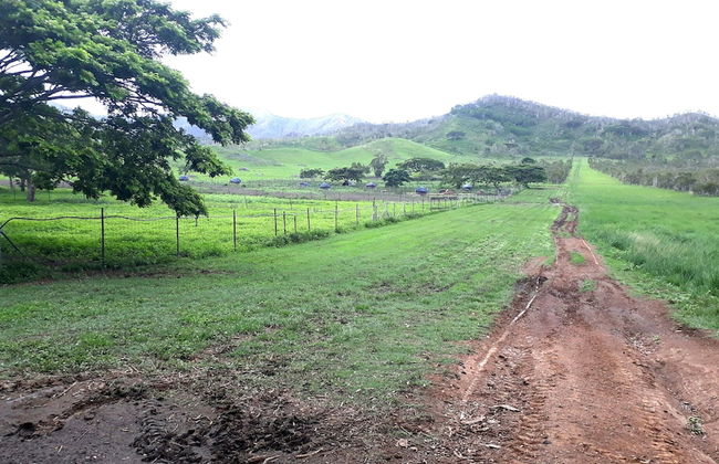 La Petite Ferme - Foto 21