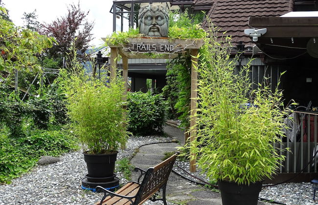 Suite at Trails End Beach House - Photo 32