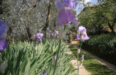 Podere San Giusto - Foto 41